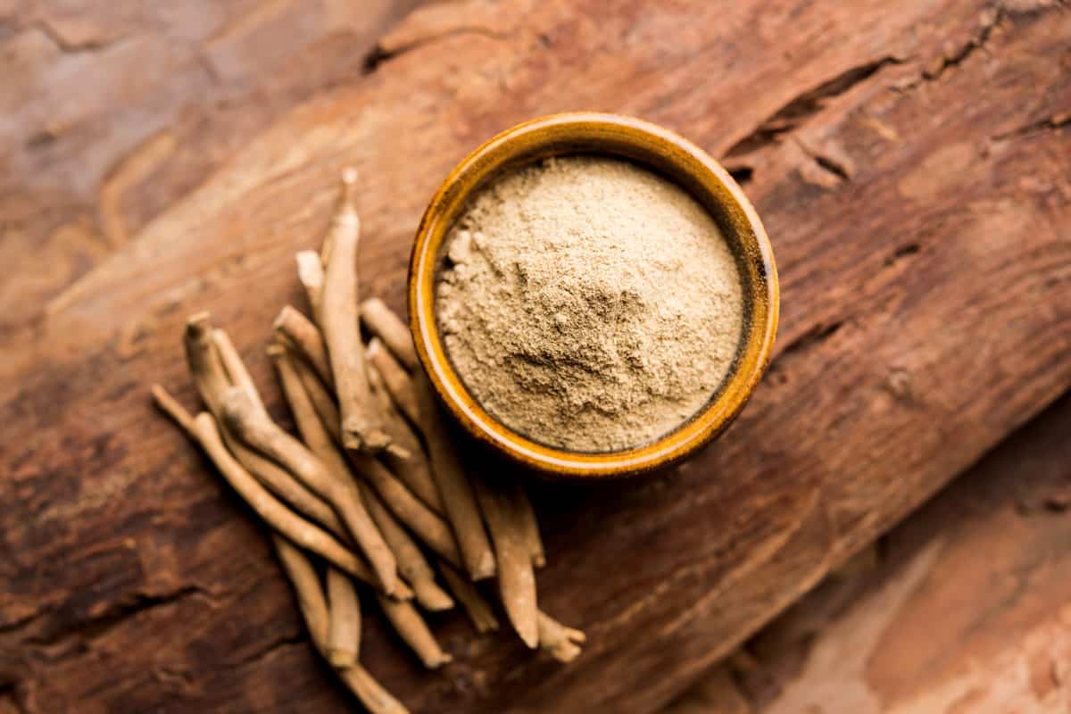 Adaptogens for Stress Support