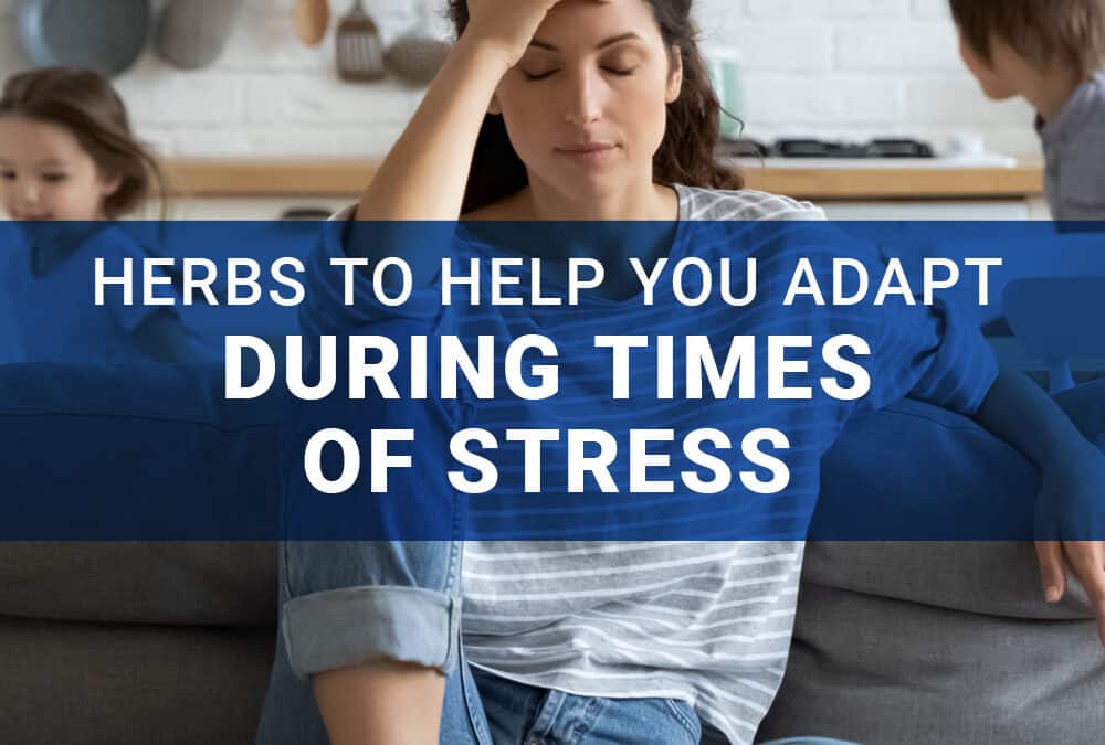 Herbs for Times of Stress
