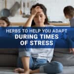 Herbs to Help You Adapt During Times of Stress pin image