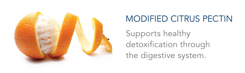 Modified citrus pectin detox benefits