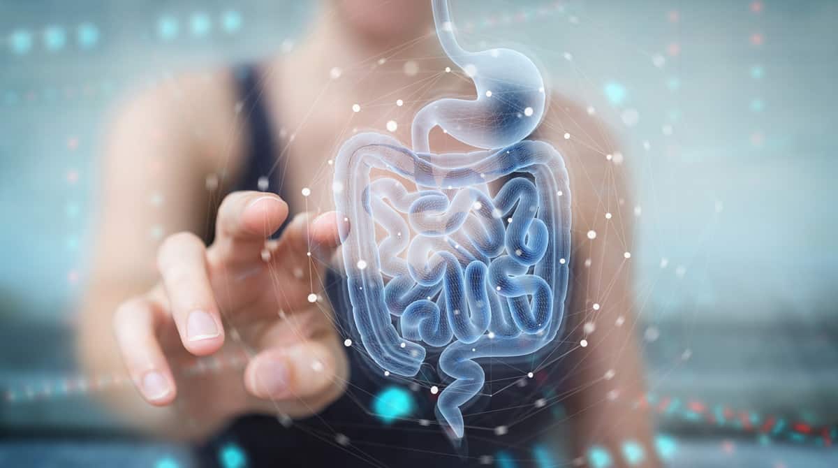 How the Microbiome Is Revolutionizing the Pursuit of a Healthy Life