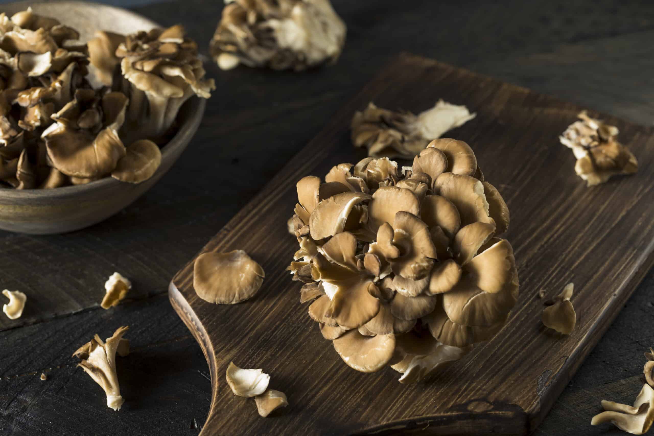 Fighting COVID-19, Pneumonia, and Inflammation with Medicinal Mushrooms
